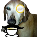 FBFF9E91B5CF4AE3A59A865250D7CD4A