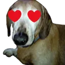 FF4734943DBE4ED6BED6025110172B79