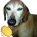 47E83AD1A711491CAD34724DDBB0034F