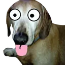 37F09DD8F1B743C6A61A81C672DACB7C