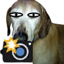 98510ADDD0DF4741A5C4BB08E1AED8F3