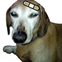 823A076D5EFC4DDCA55B87A024E4D837