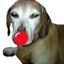 2EB412212C0F4F0DA18DE5285E76DDBC