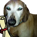 0AC912C163424CD89712B1304367B069