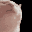 ganstacat Discord Emoji