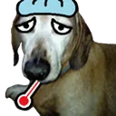 EE3297A043594182BCFFF2F7CF2220A6