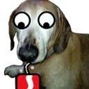 DBEBE391DEAF4B36A03B76C75A48B4DD