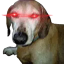 3D15E00FDC0C427E817EC22B2FE6A0AF