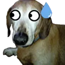 3340725062D549199955DA7D805BAAA6