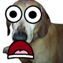 doggoshock doggoshock