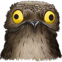 potoo