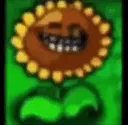 hihihihi