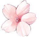 2_flowerpink Discord sticker | ChekoVerse