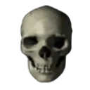 skull_that_died_twice