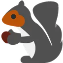 grey_squirrel