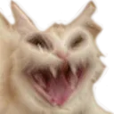 catscream