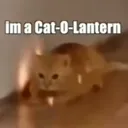 Cat_o_lantern