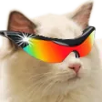 catwicked