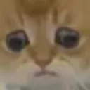 emoji_95