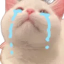 kittycri Discord Emoji