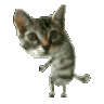 c_e_catdance Discord Emoji
