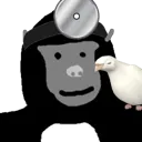 medicmonke