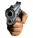 Gun