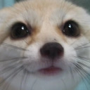cute Discord emoji