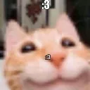 cat2 Discord Emoji