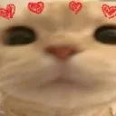 Cat3 cat3 Discord Emoji