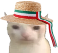 ItalianBruhcat