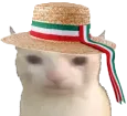 ItalianBruhcat Discord Emoji