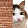 Sneakyboi