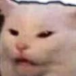catHmConfused