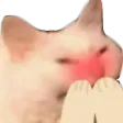 catFlushed