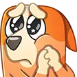 BingoPls