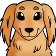 wethanPaw