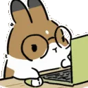 BunnyWork BunnyWork