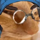 NyanjiSus