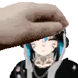 PetTheSoin