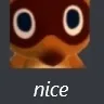 nice