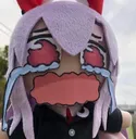 Reisen_waa