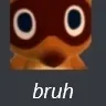 bruh