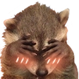 raccoonblush Discord emoji