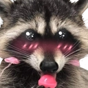 raccoonuwu Discord emoji