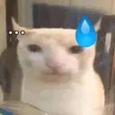 brucat_preocupado