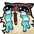 kwzCry