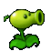 pees