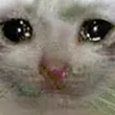 Sadkitty Sadkitty