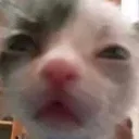whar
